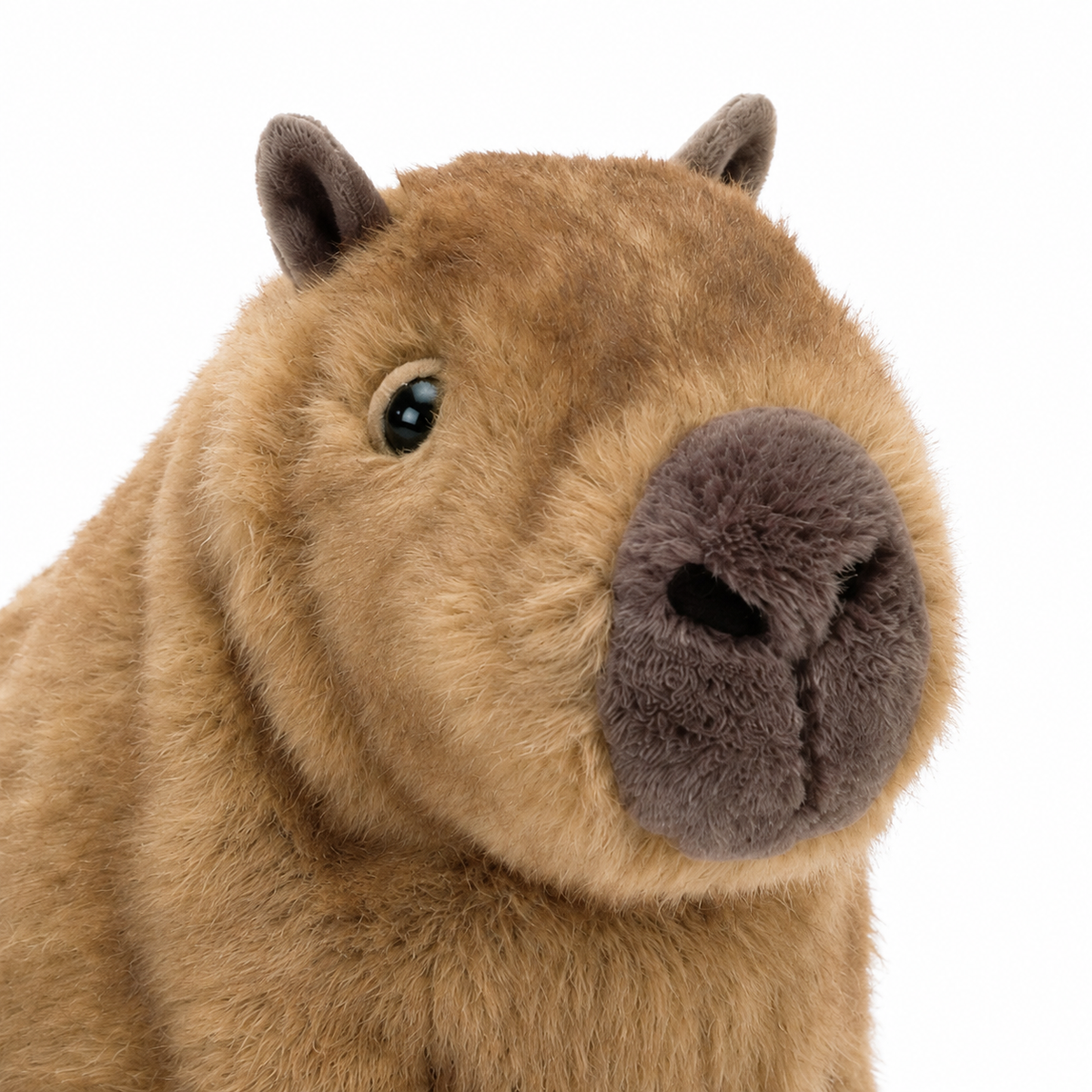 Clyde Capybara Plush Toy – 22cm
