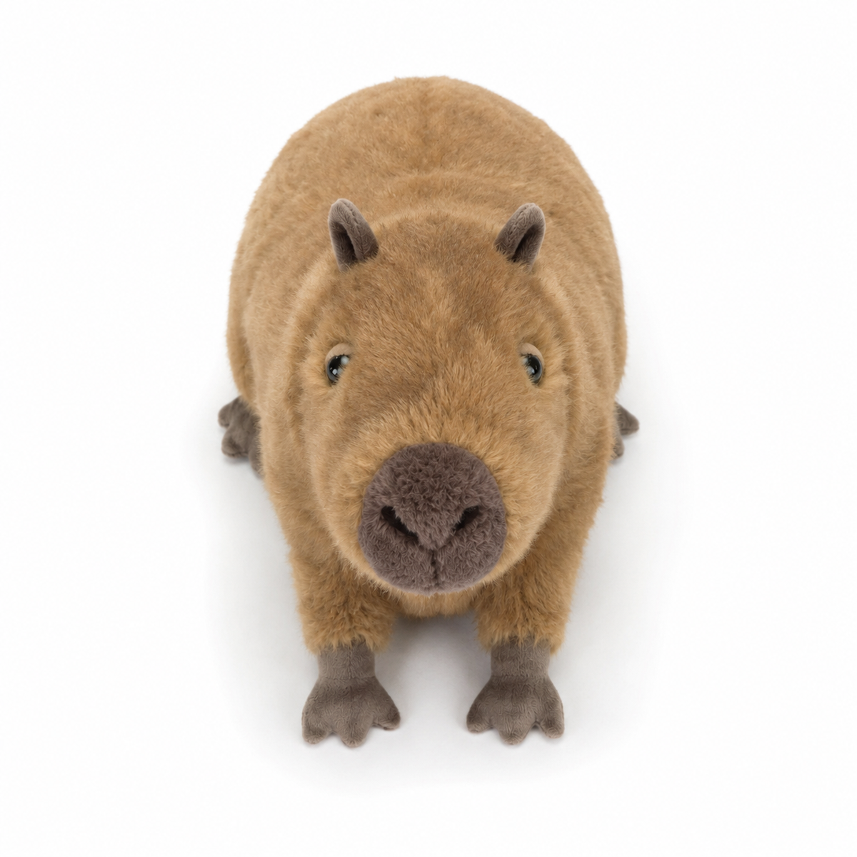 Clyde Capybara Plush Toy – 22cm